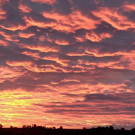 La Quiete 招待所 3*